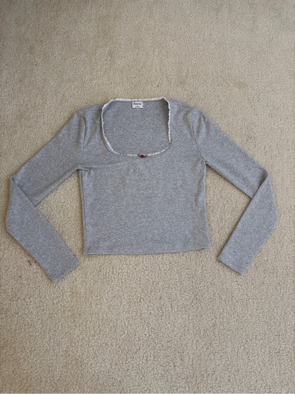 Aritzia/Sunday Best Heather Gray Long Sleeve Tee